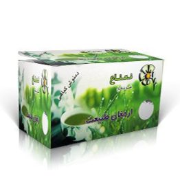 دمنوش نعناع ارمغان طبیعت