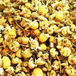 بابونه شیرازی