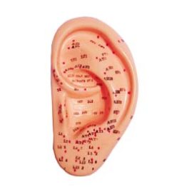 Acupuncture moulage