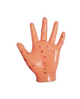 Acupuncture moulage