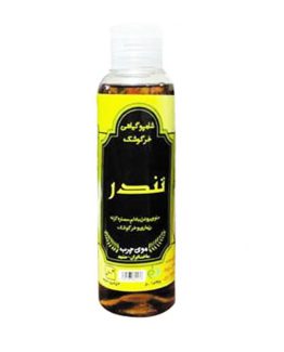 شامپو گیاهی خرگوشک تندر مخصوص موهای چرب
