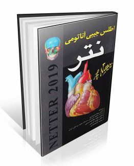 اطلس جیبی آناتومی نتر
