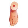 Acupuncture moulage