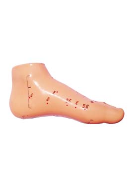 مولاژ طب سوزنی پا (مخصوص پای کوچک)