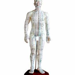 مولاژ طب سوزنی