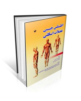 اطلس جیبی عضلات اسکلتی