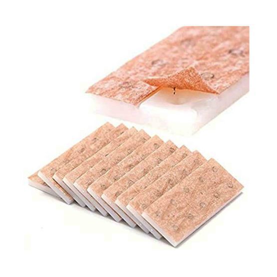 سوزن پرس نیدل ایکو ۱٫۶×۰٫۲۲ ( EACU )