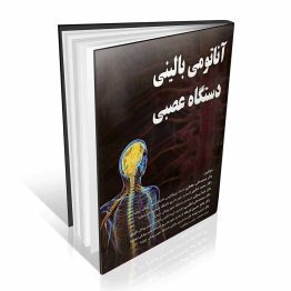آناتومی بالینی دستگاه عصبی