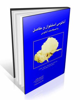 کتاب آناتومی استخوان و مفاصل با اصطلاحات آناتومی