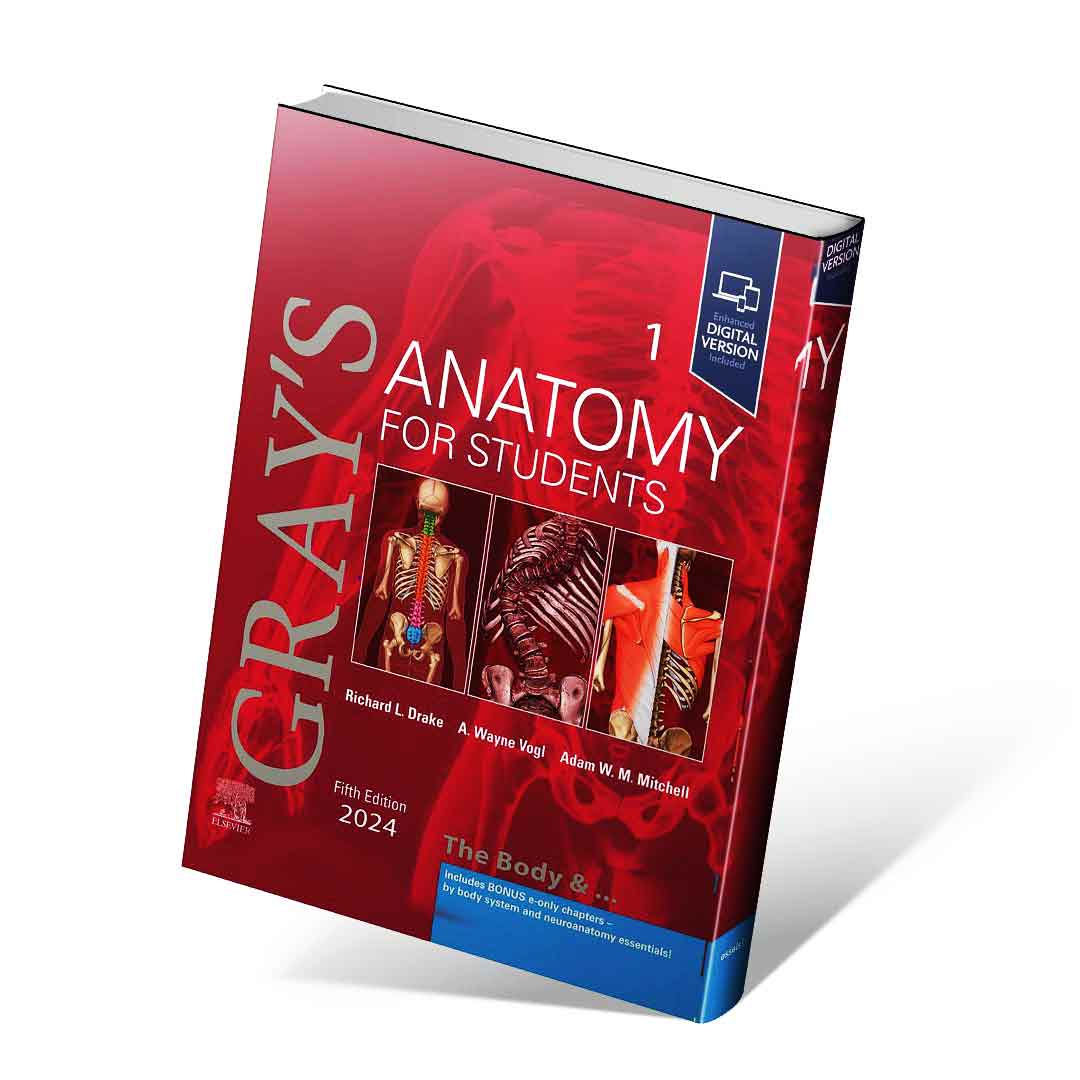 آناتومی گری ۲۰۲۴ جلد اول تنه زبان اصلی Gray’s Anatomy for Students vol 1 (5th edition) 2024
