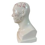 مولاژ طب سوزنی سر