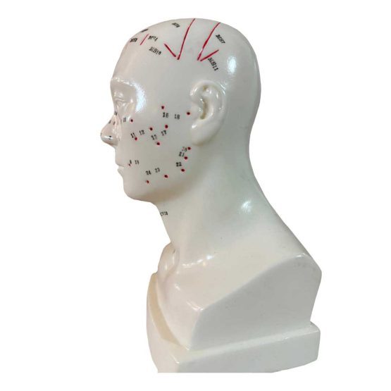 مولاژ طب سوزنی سر