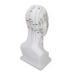 مولاژ طب سوزنی سر