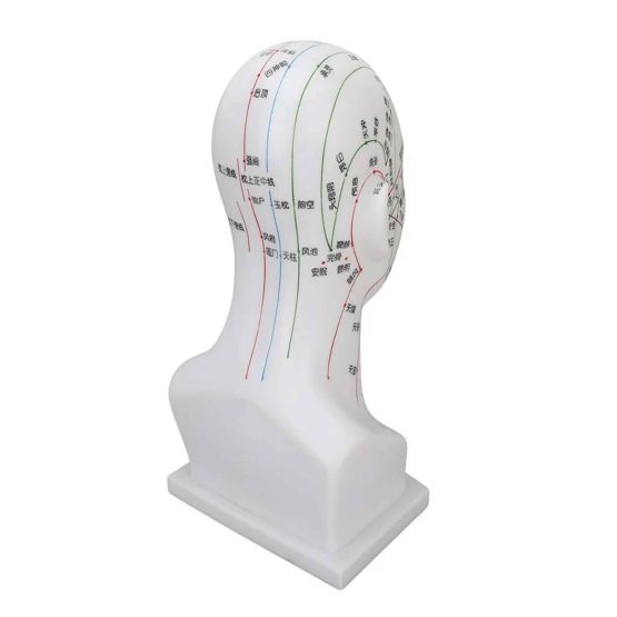 مولاژ طب سوزنی سر