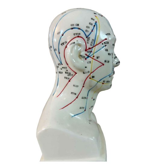 مولاژ طب سوزنی سر