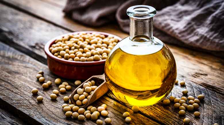 خواص و روش تهیه روغن‌ های گیاهی در خانه | راهنمای کامل استخراج روغن طبیعی