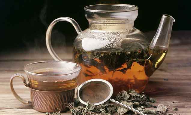 راهنمای کامل انواع چای و دمنوش؛ خواص، ترکیبات و روش دم‌کردن اصولی